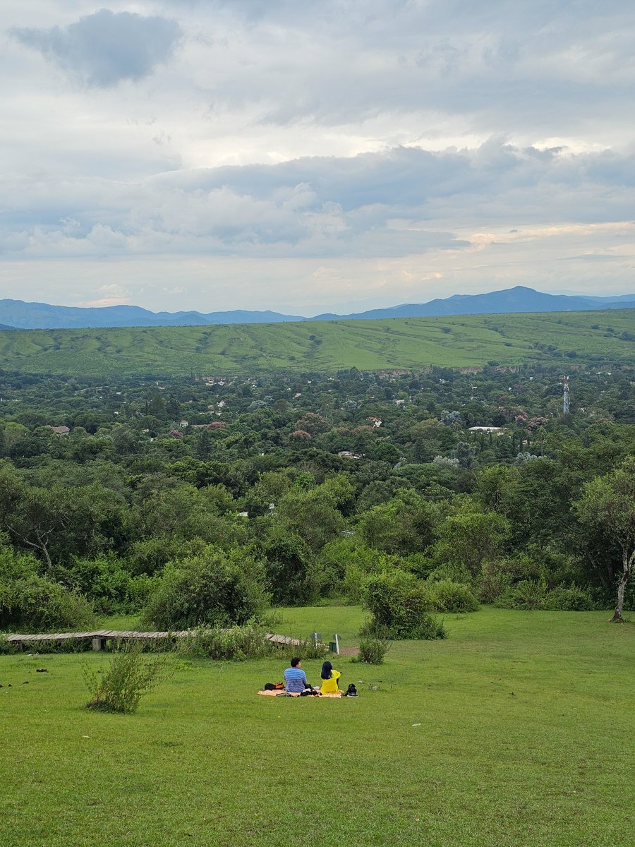 saltenials tweet media