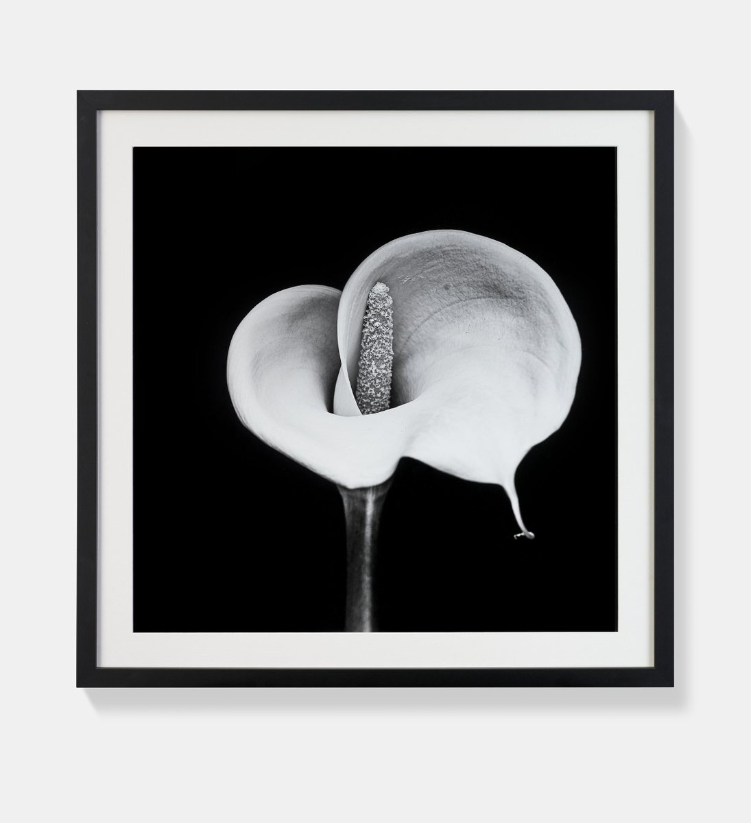 Chain of Hope UK tweet media