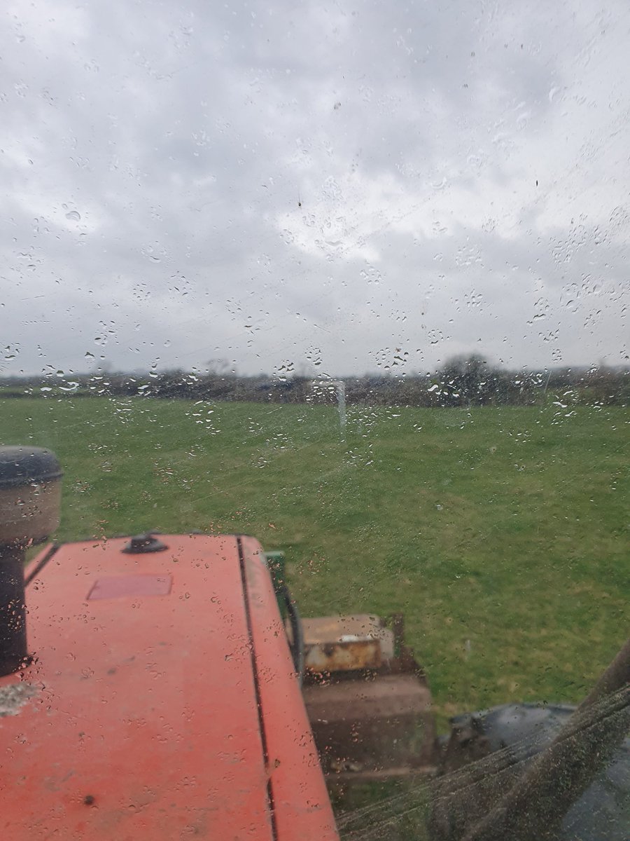 HappyHerefords's tweet photo. Good to get a little bit of white gold on yesterday, just in the nick if time as the first drops of another 5mm started falling... early turnout incoming as feed and bedding dwindling now https://t.co/PtmbUFs4JC