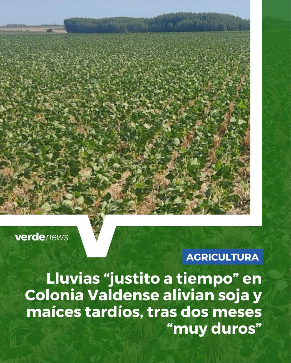 verdemedia tweet media