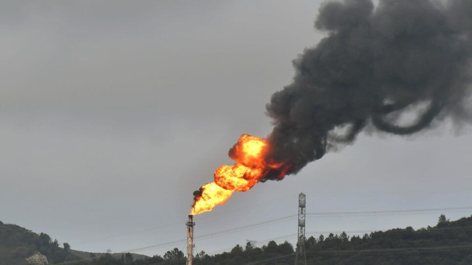 Teleberri/Pnv más preocupados de lavar la imagen de Petronor y del Pnv que de la situación sanitaria de los vecinos de #Muskiz.
Todo está controlado, se ha actuado bien y no pasa nada grave.
Hasta la siguiente fuga.
El cortijo mediático del Pnv