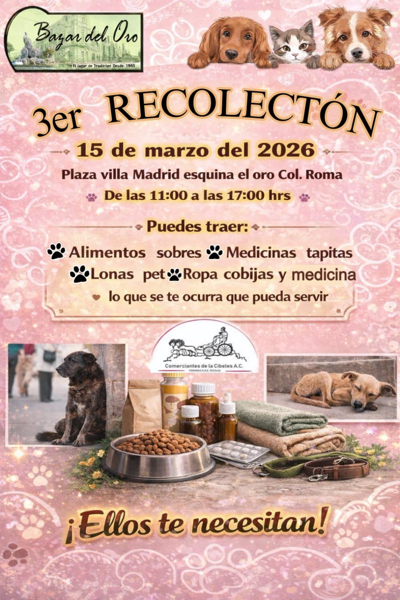 bazar del oro Oficial tweet media