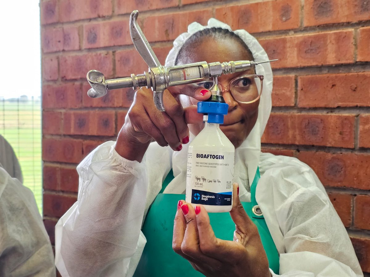 Today, we were near Mooi River in KwaZulu-Natal as part of the launch of the Department of Agriculture’s national mass vaccination strategy to decisively deal with Foot-and-Mouth disease outbreaks in the country.