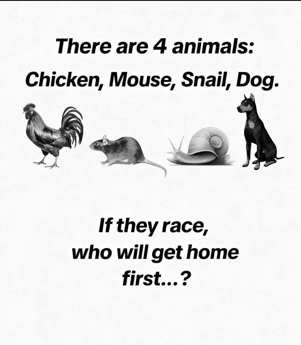 Yamaan Shahid 𝕩 tweet media