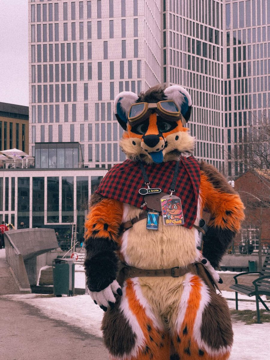 Archie 🦊 tweet media