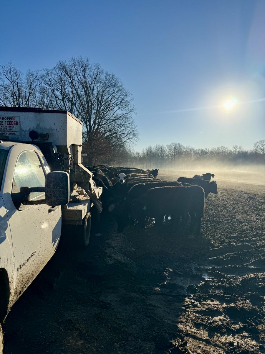 Ray Fussell tweet media