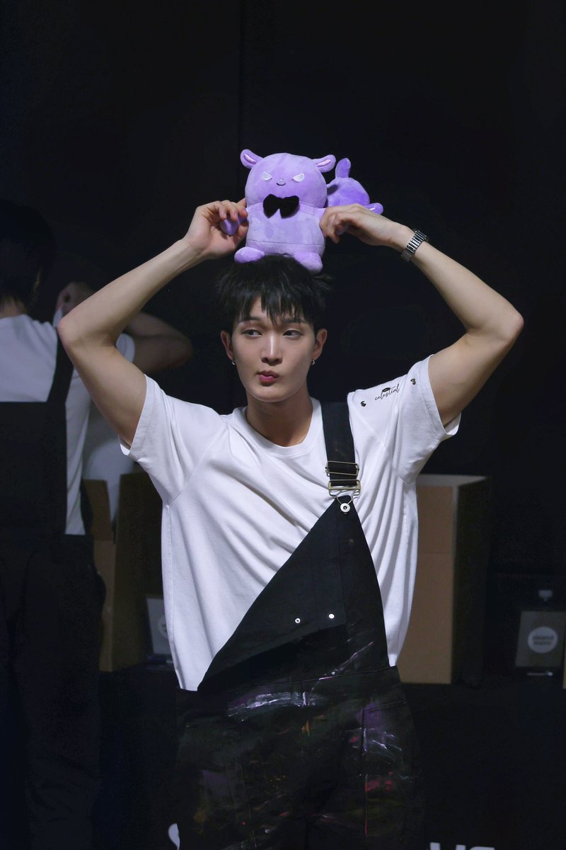 시나몬 롤 tweet media