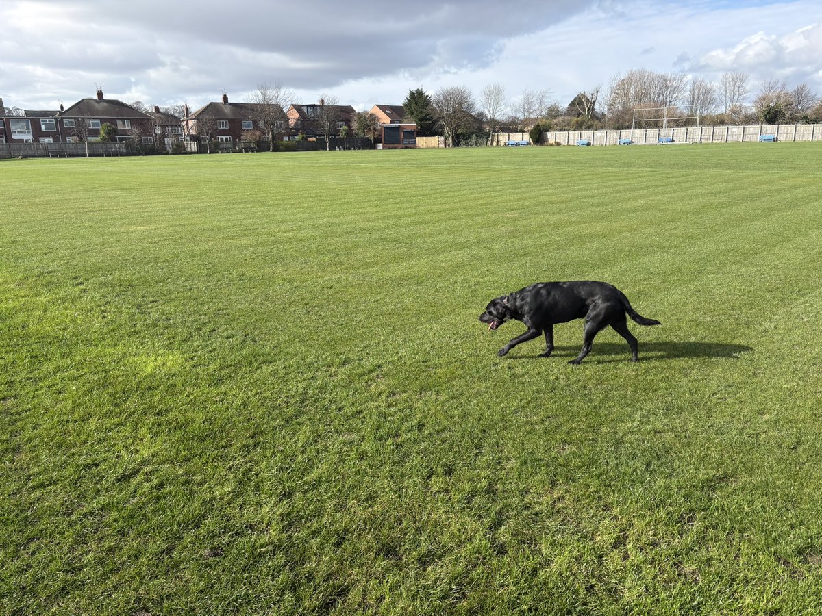 Paul Jackson 🇺🇦 tweet media