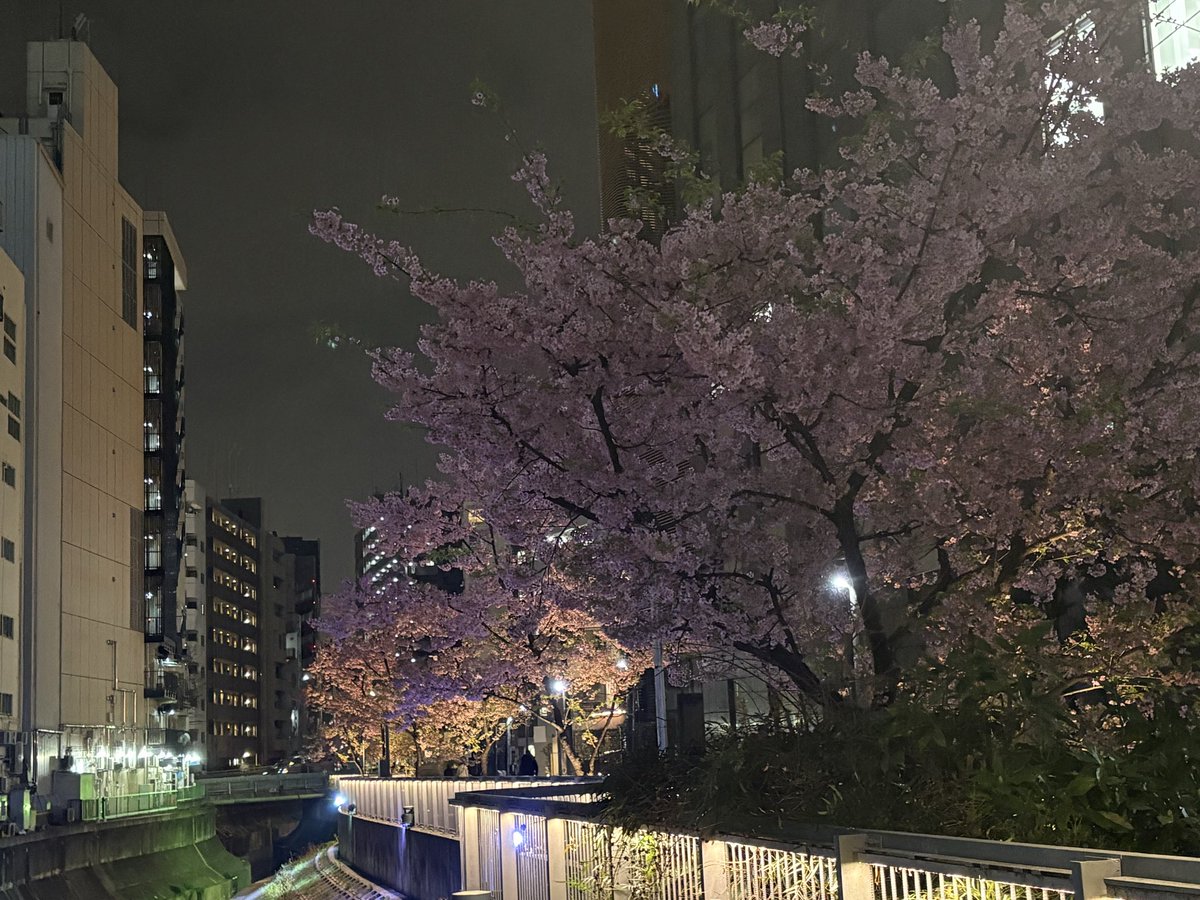 新たな場所でオープンマイク主催します@大久保ひかりのうま。

2026/3/31（火）
大久保ひかりのうま
hikarinouma2.blogspot.com/?m=1
総武線大久保駅から徒歩10秒

詳細はまた追って。みなさま遊びにいらしてください！

（写真は渋谷の河津桜）