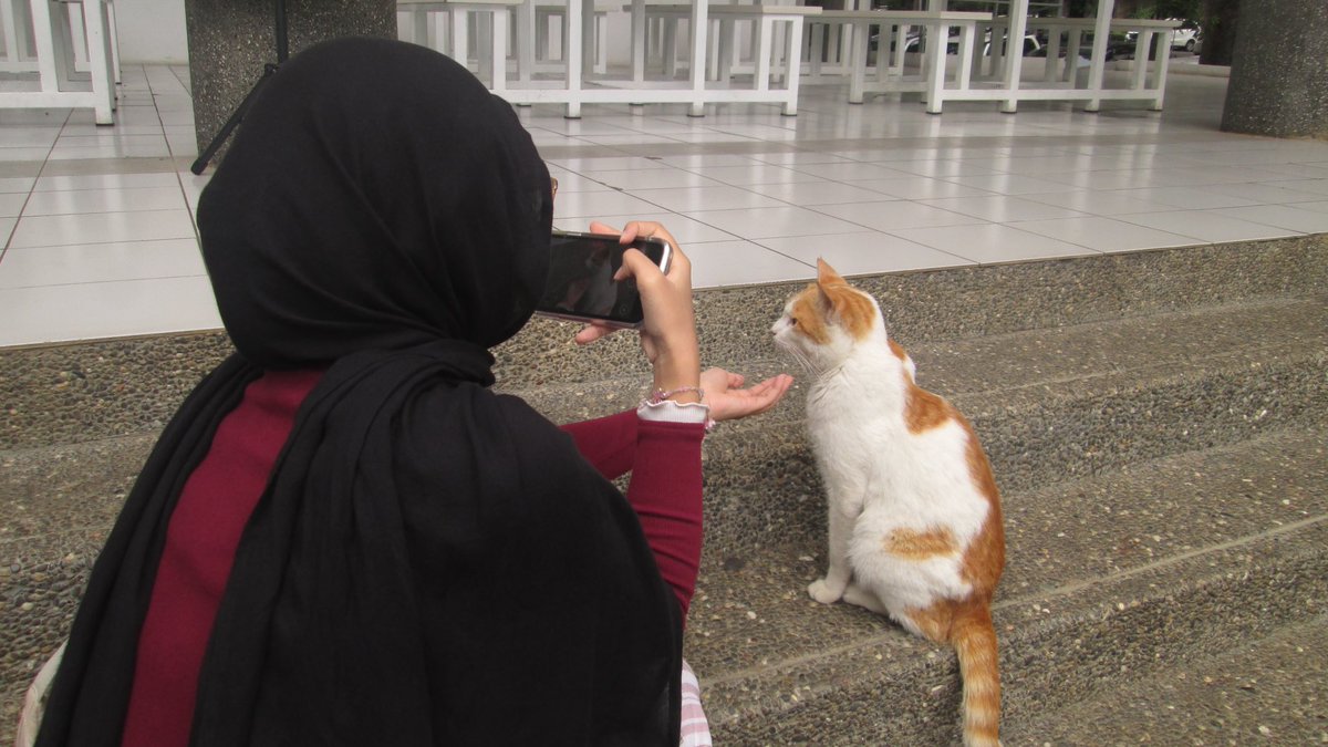 mandara 🐟🐠🐡 tweet media