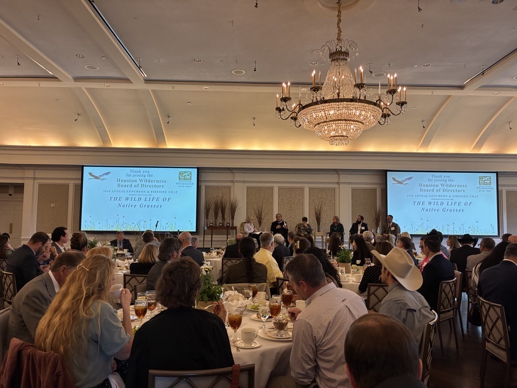 Gulf Coast Protection District tweet media