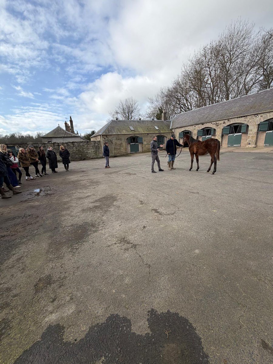 Gillonbldstk's tweet photo. Nice to have the Scottish Racing Academy into Floors Stud this morning to learn a bit more about the breeding side of things 🐎🐴 @s_r_academy https://t.co/8q9l0NIXYM