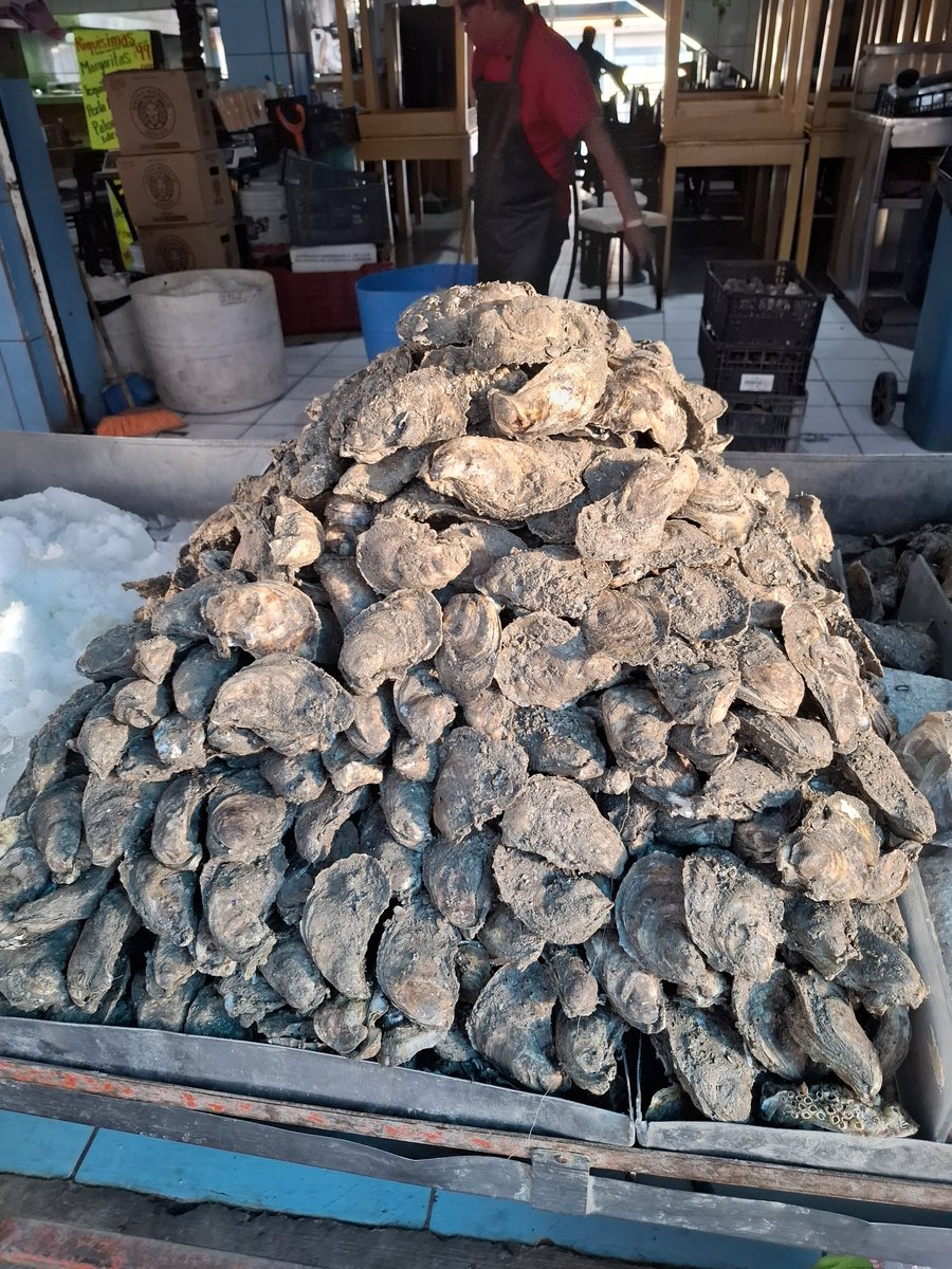 Diego Roa tweet media