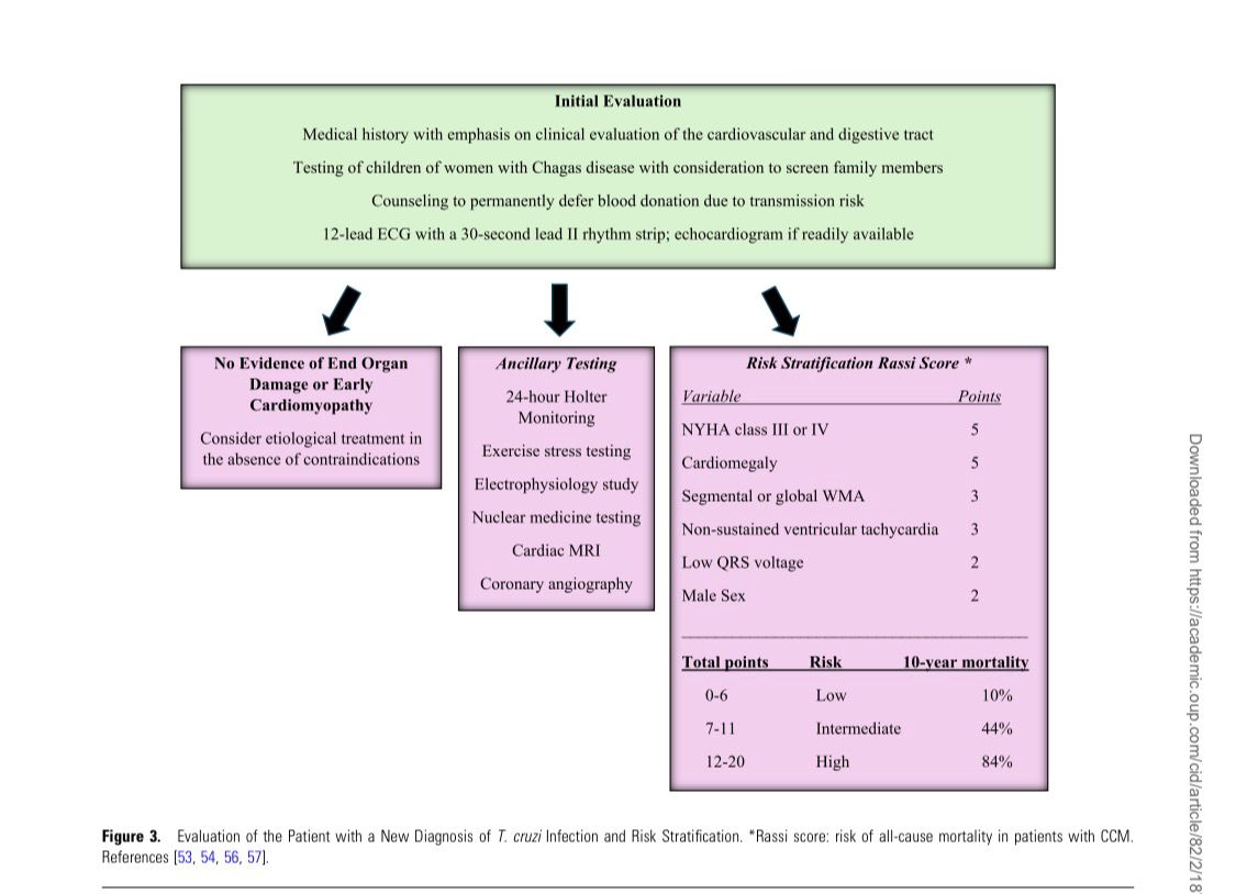ACINNACIONAL tweet media