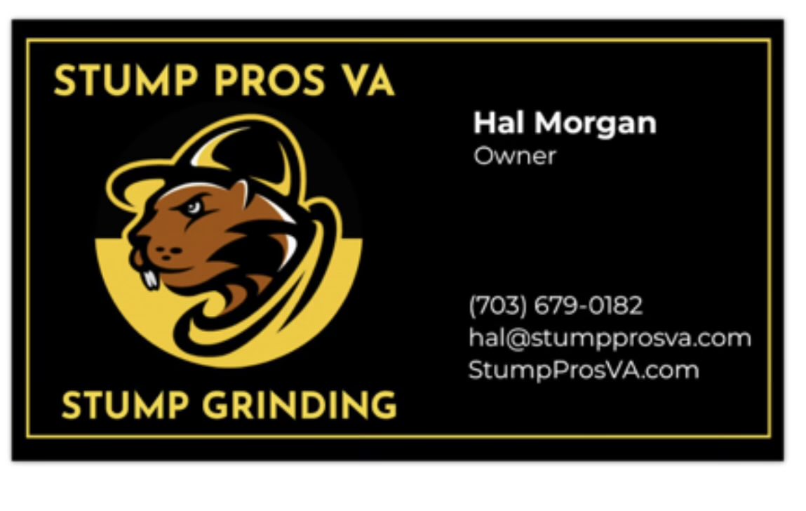 Hal Morgan tweet media