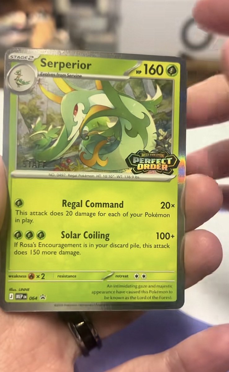 PokeDuels tweet media