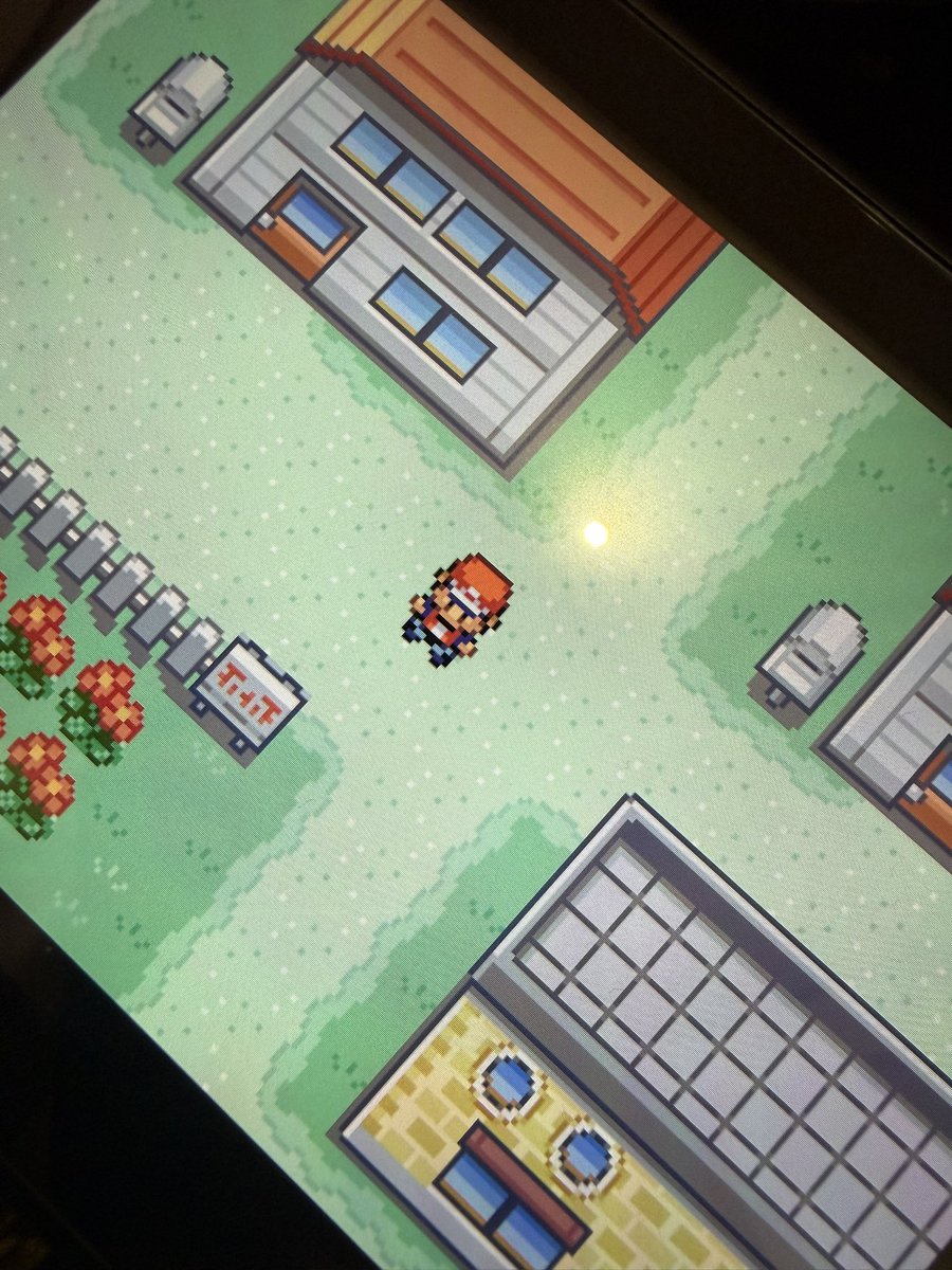 モモ🐕 tweet media