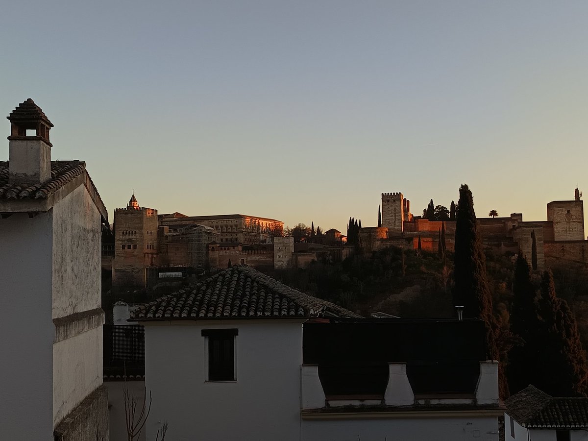 distintos días, mismos reflejos rosados