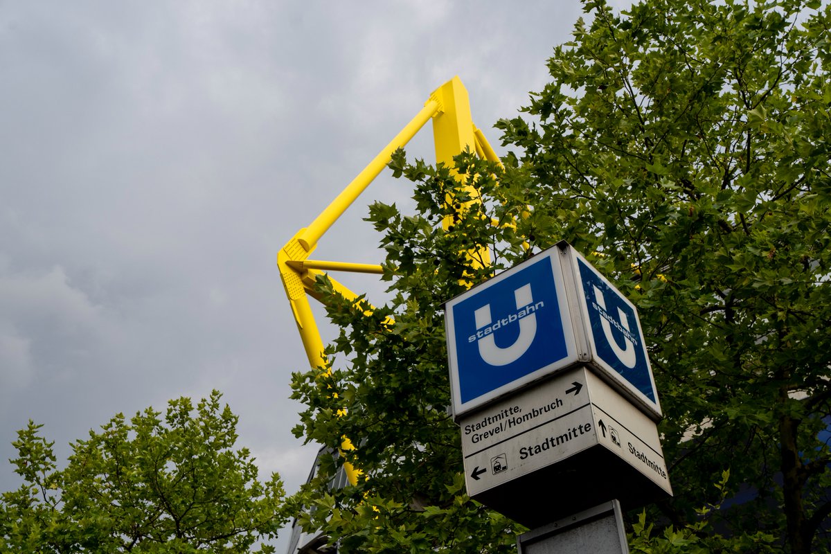 BVB-Fanbeauftragte tweet media