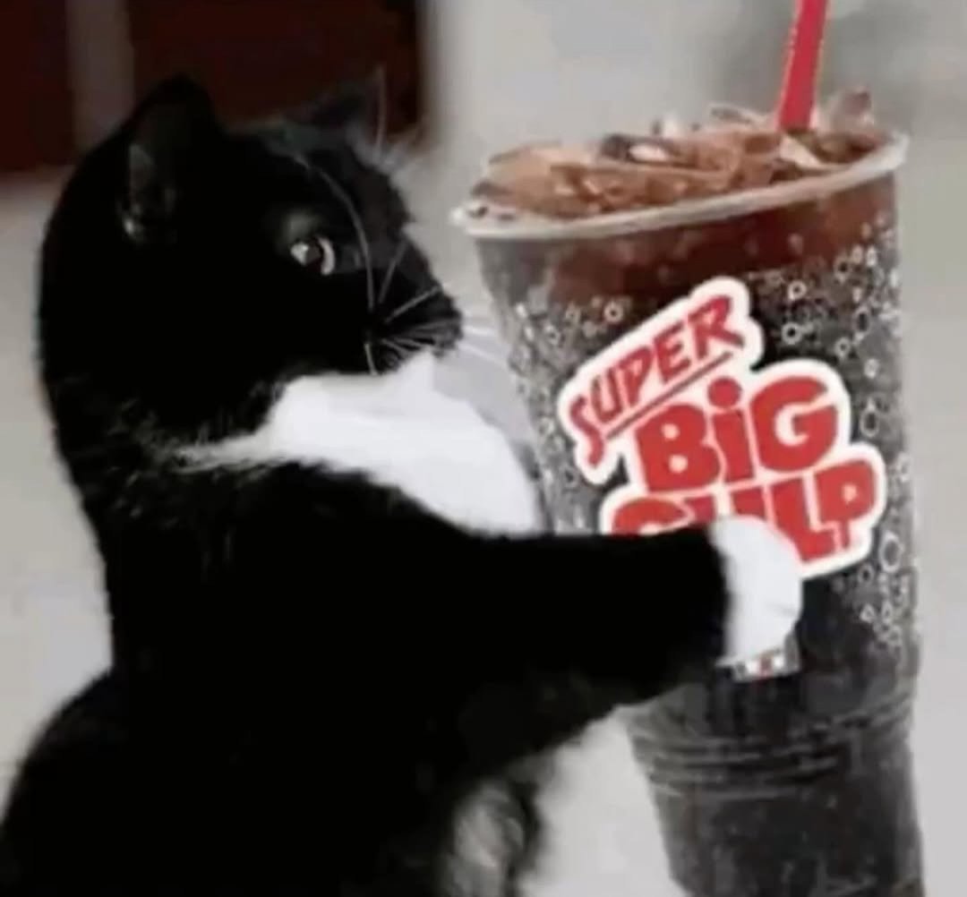 Catsillyness's tweet photo. https://t.co/NVANQfgsPI