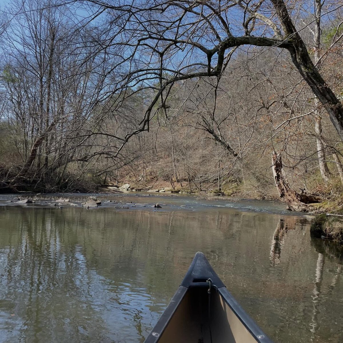 BWRiverkeeper's tweet photo. #Riverkeeper Nelson Brooke paddled lower Calvert Prong to Blackburn Fork low water bridge w/biologists doing eDNA and BEHI research. Passed @NatureAlabama's Calvert streambank restoration sites. Documented poor erosion &amp; sediment controls at the new Hwy 79 bridge over Blackburn. https://t.co/XqeRgPlFMJ