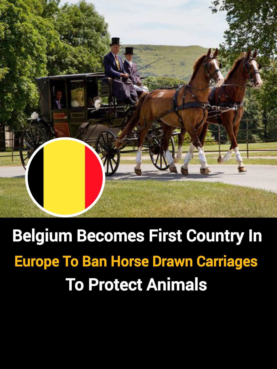 dominic dyer tweet media