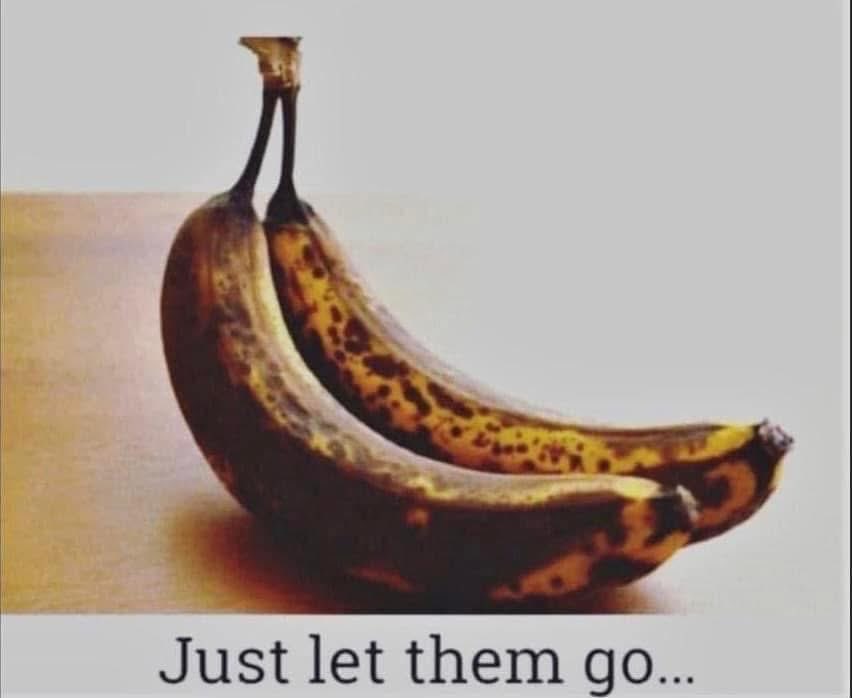 Melinda Howard tweet media