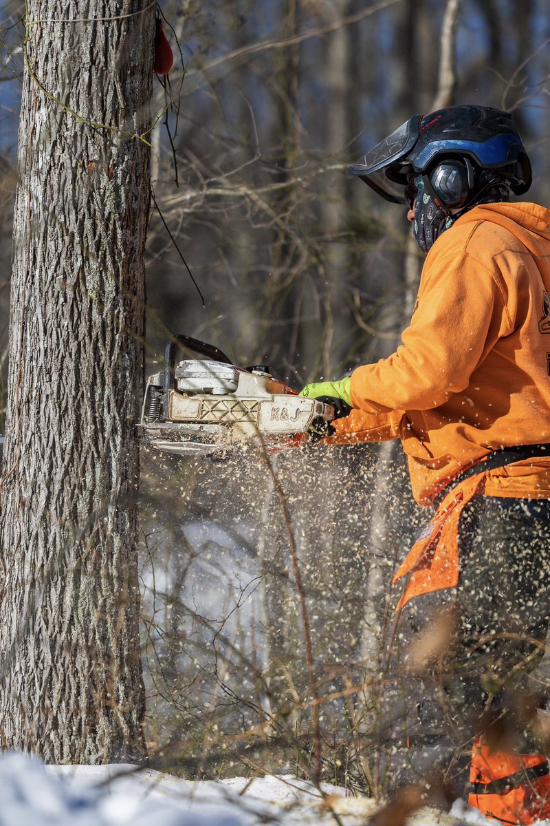 K&J Tree Service tweet media