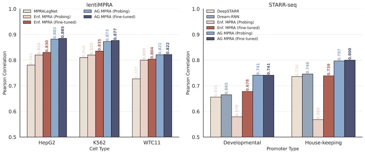 Peter Koo tweet media