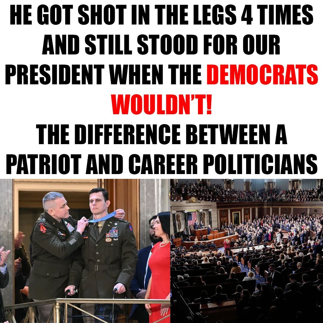 🌽AllAmericanWesties🌽🐶🐾🇺🇸✈️☘️ (@gotwesties) on Twitter photo 