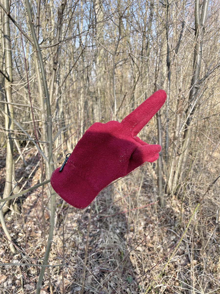 Christoph Tamussino tweet media