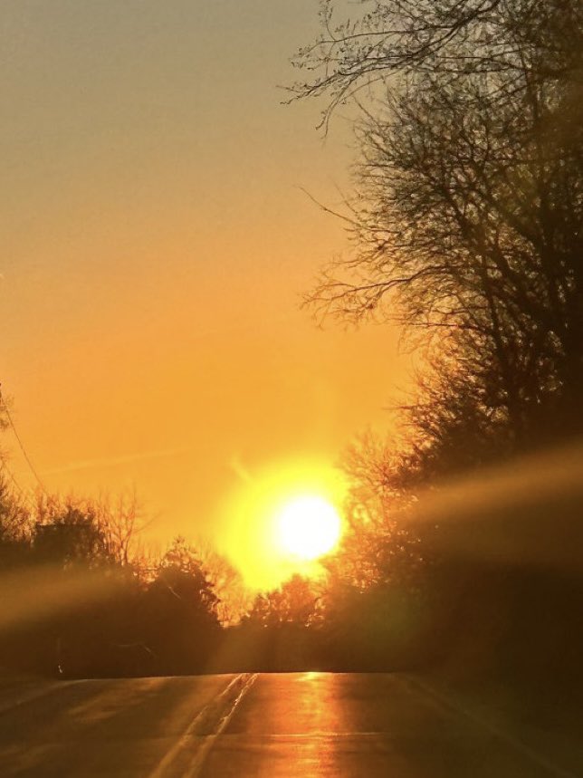 Before overcomplicating wellness…

get sunlight,
go for a walk,
breathe fresh air.

Vitamin D, better mood, and real energy
start with simple things. 🤍