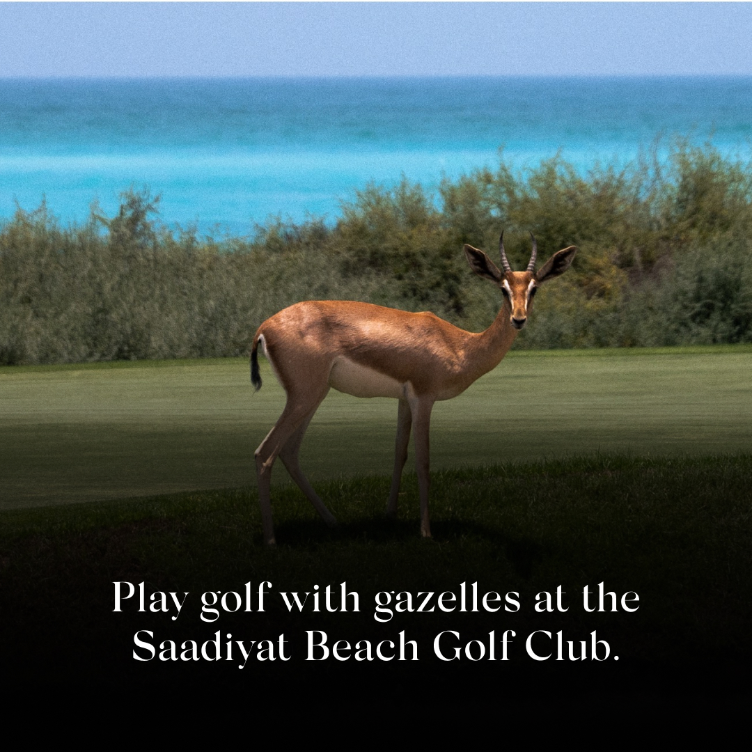 BBC StoryWorks tweet media