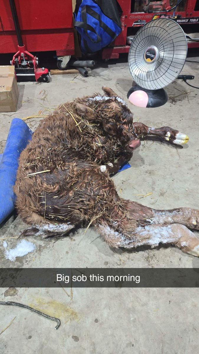 Ryan Hofford tweet media