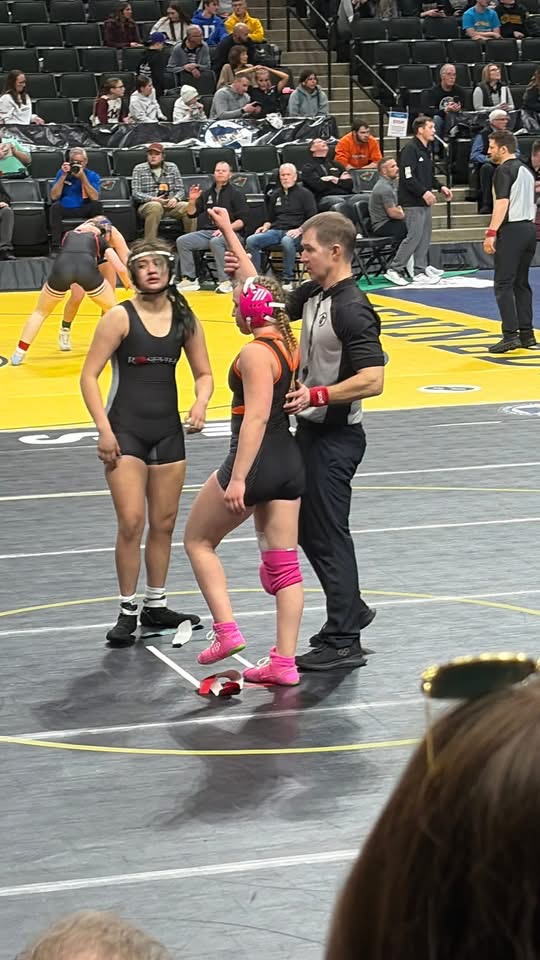 PHSTigersMN tweet media