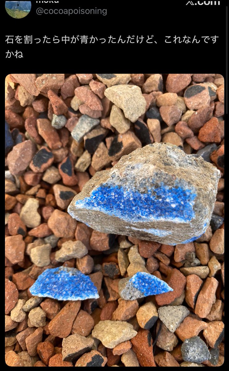 家の庭で見つかった石に似てなくもないような、似てないような