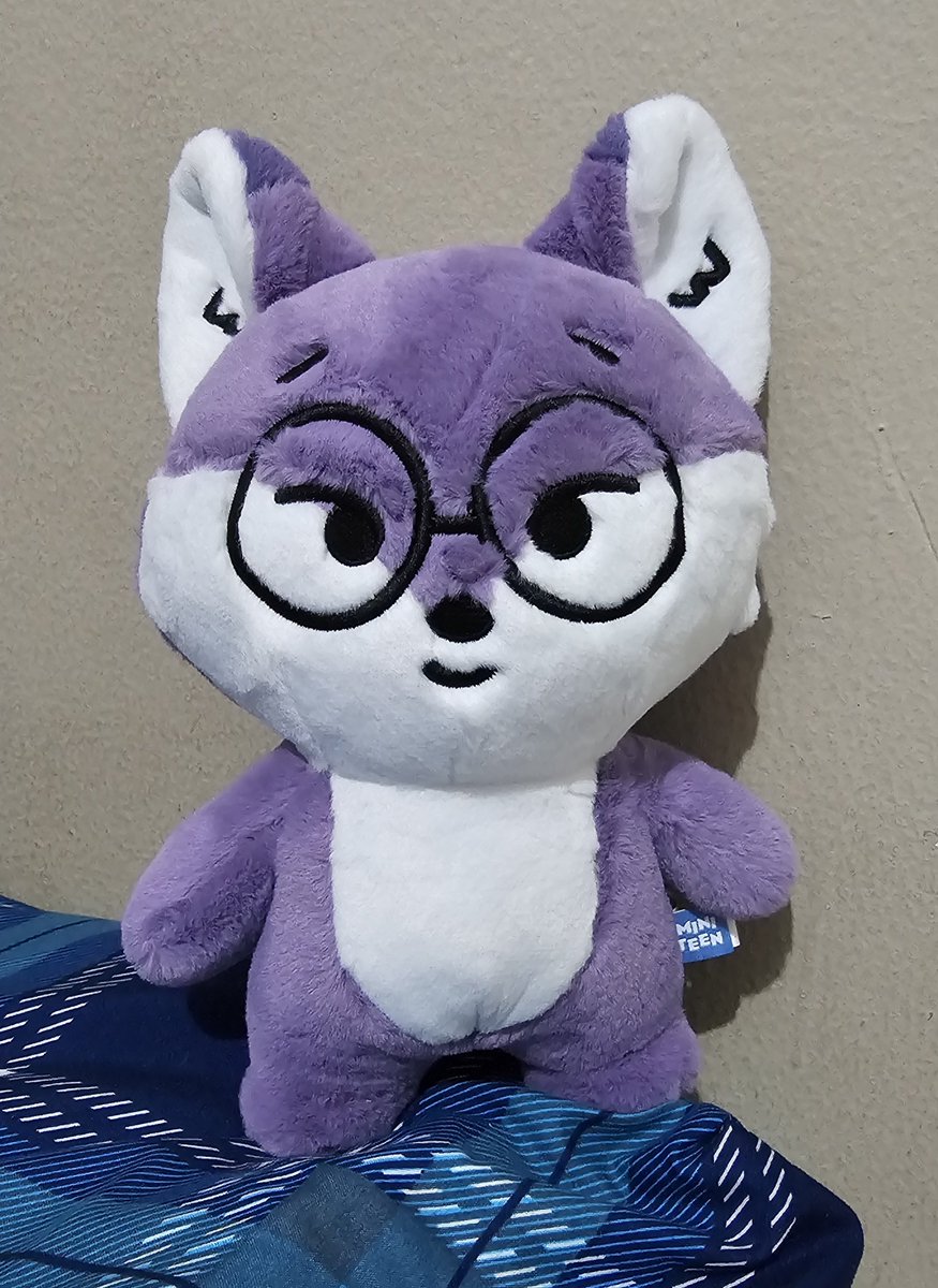 winterdec16's tweet photo. Went to gancit today to bring foxdungee home 💜 https://t.co/xVUMmYP623