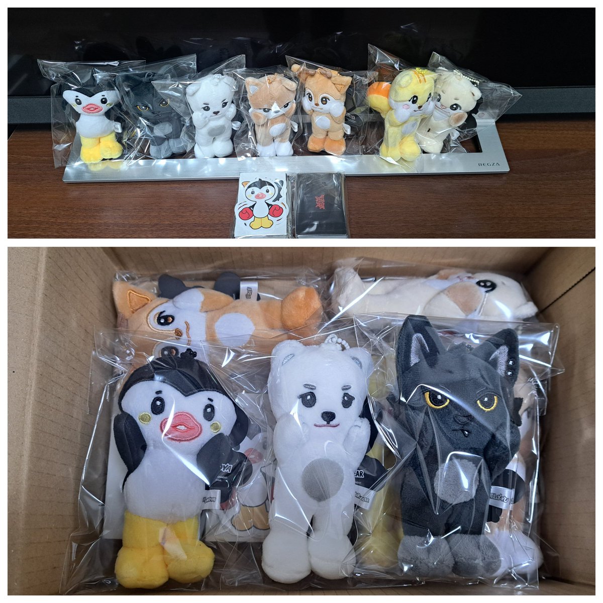 NEXZ_JPFB 様から寄付企画のNEXZOOとトレカが届きました