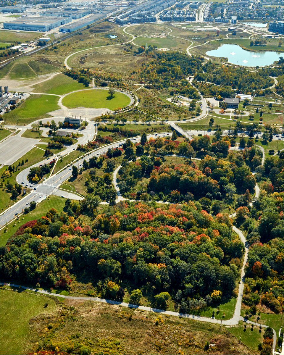 Experience nature as it is in this upcoming mixed-use, transit-oriented community. Connected to parks and the surrounding woodlot, nature is not an escape here but a neighbour.