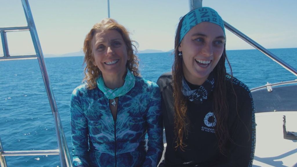IntersystemNL's tweet photo. In het Great Barrier Reef is een koraal van bijna vierduizend vierkante meter ontdekt. Het koraal is op het langste punt 111 meter en beslaat ongeveer de oppervlakte van een voetbalveld. Ter vergelijking: de meeste koraalkolonies die wereldwijd worden ontd https://t.co/Vl1x8j9kko https://t.co/ksgVMpaYnm