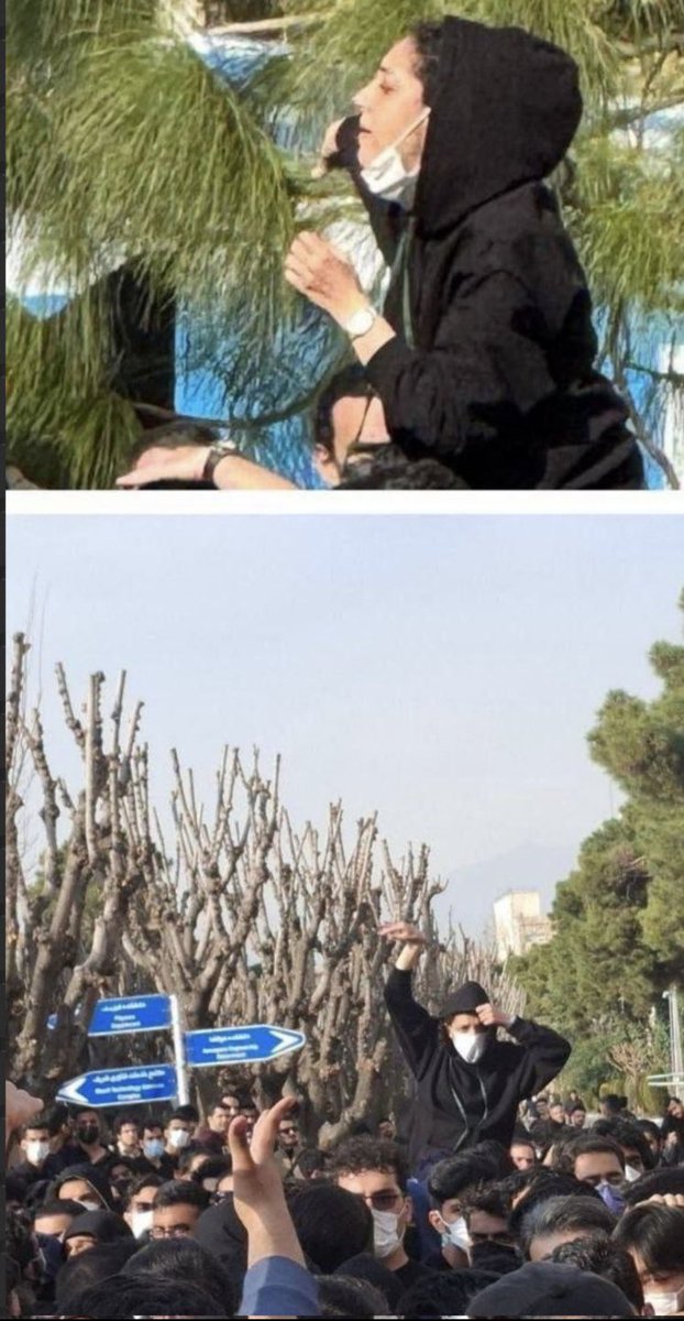 رضا ایرانی tweet media