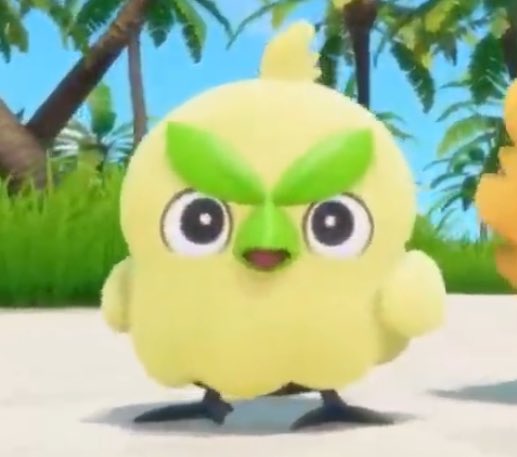 Matthew Mac tweet media