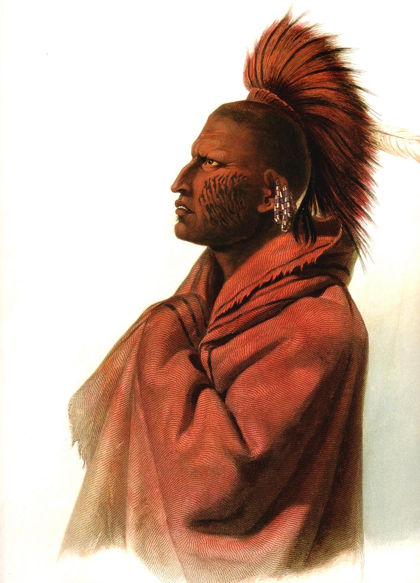 Karl Bodmer tweet media