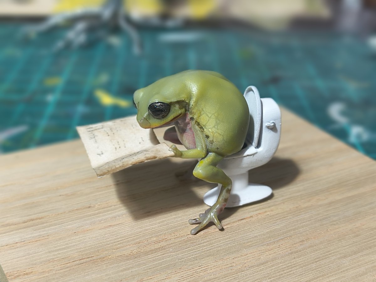 Bakaeru_model:蛙の棚 tweet media