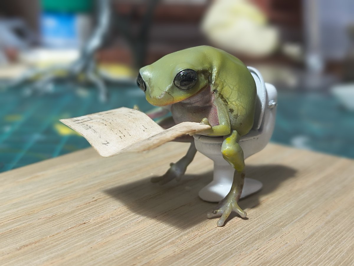 Bakaeru_model:蛙の棚 tweet media