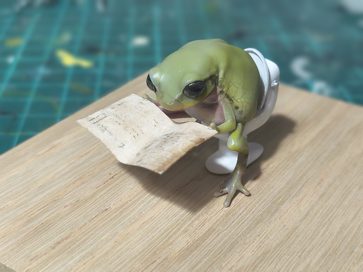 Bakaeru_model:蛙の棚 tweet media