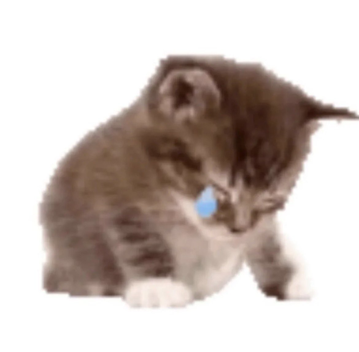 hand-drawn animation is spending 1 billion years on one second and then going. "oh man. i'm gonna draw another second"