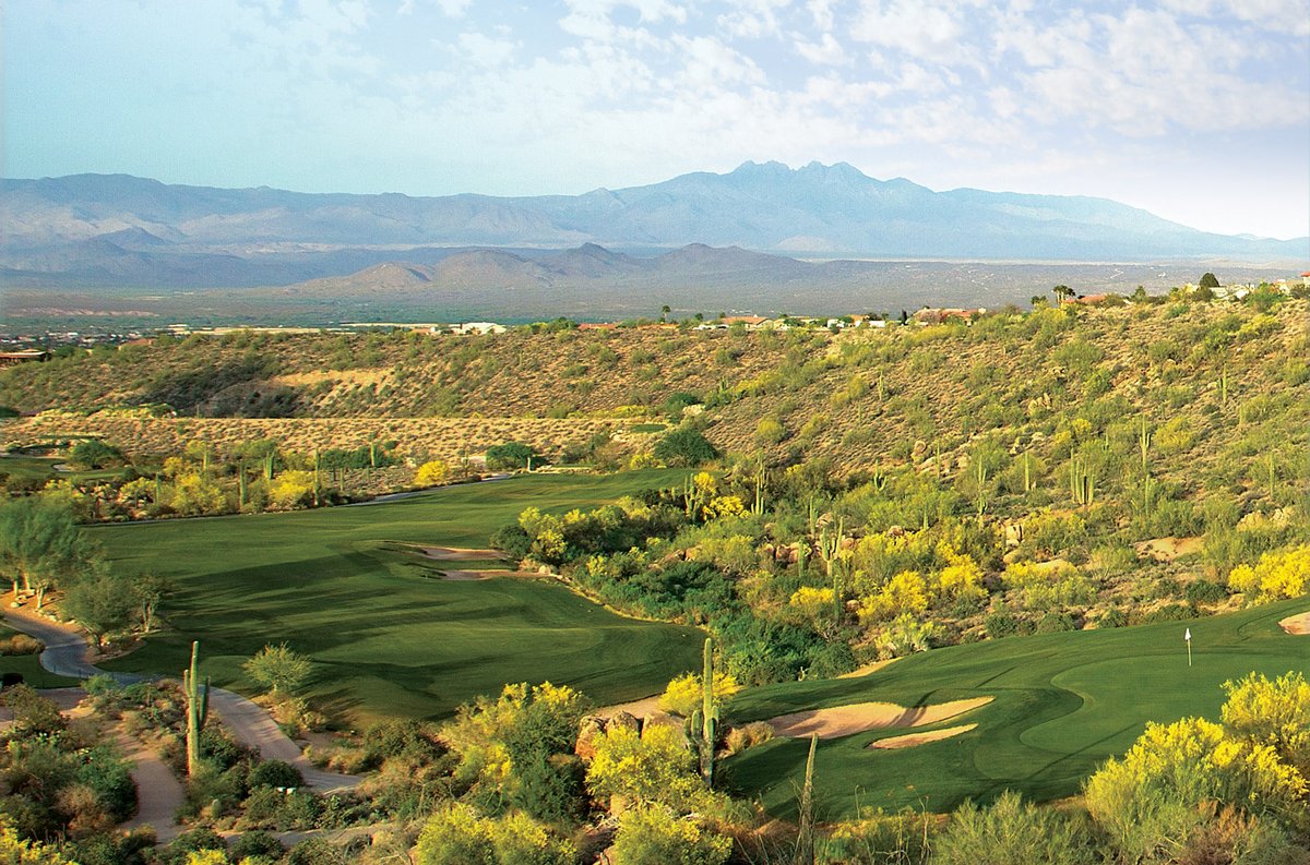 Tee Times USA tweet media