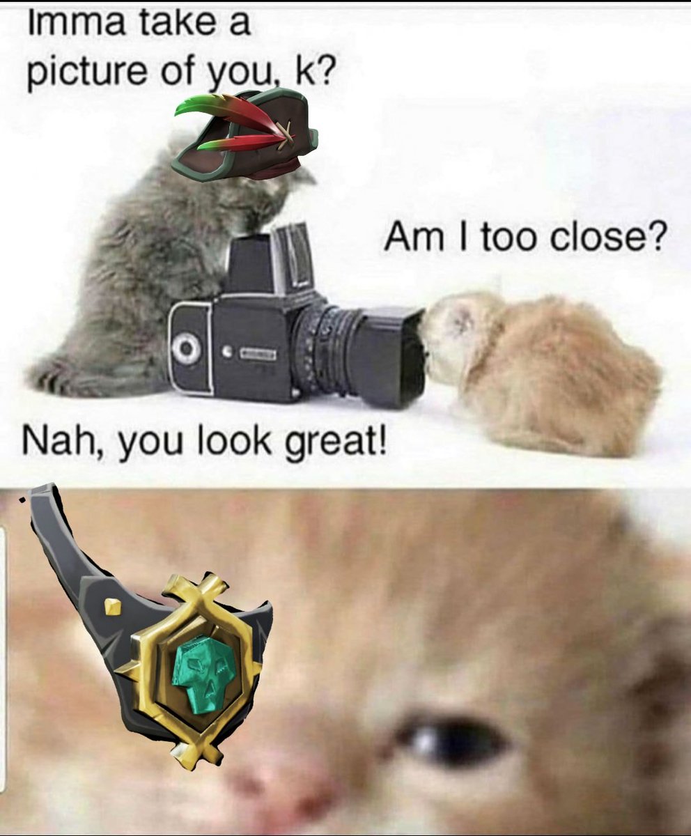 SwordSandwich tweet media