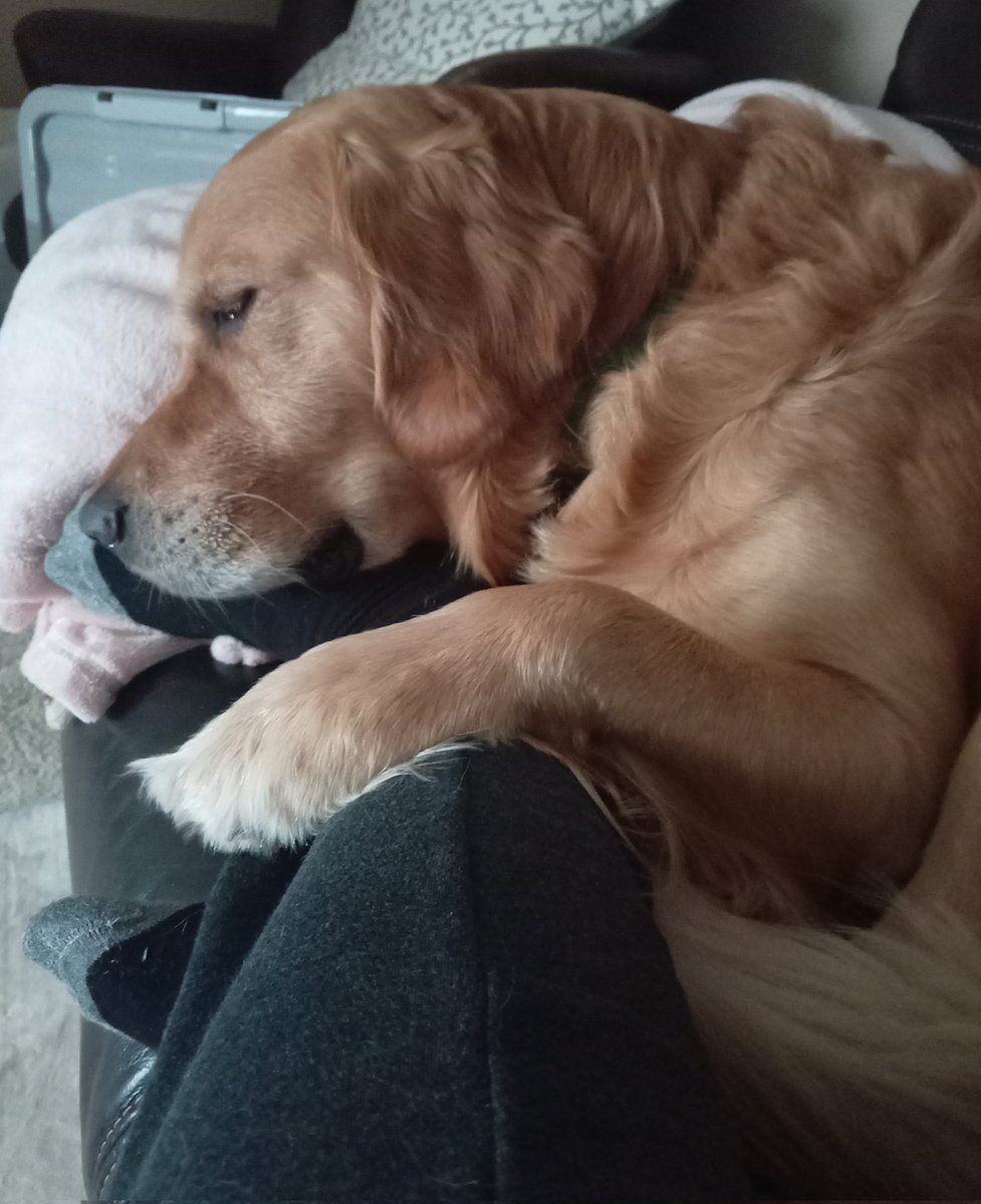 Friday cuddles 😍💤with my boy #lovehim 🌎